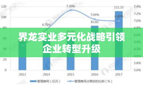 界龍實(shí)業(yè)多元化戰(zhàn)略引領(lǐng)企業(yè)轉(zhuǎn)型升級