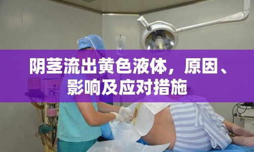 陰莖流出黃色液體，原因、影響及應(yīng)對(duì)措施