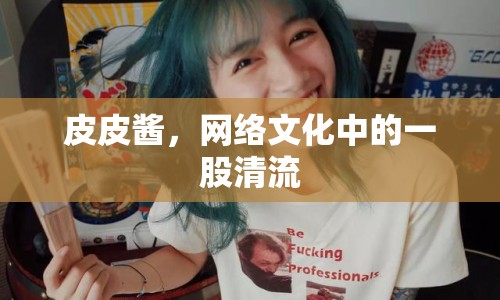 皮皮醬，網(wǎng)絡(luò)文化中的一股清流