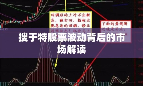 搜于特股票波動背后的市場解讀