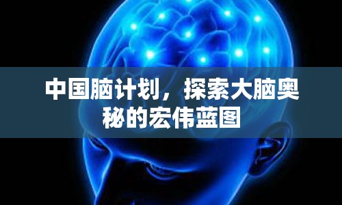中國(guó)腦計(jì)劃，探索大腦奧秘的宏偉藍(lán)圖