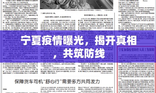 寧夏疫情曝光，揭開真相，共筑防線