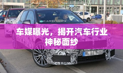車媒曝光，揭開汽車行業(yè)神秘面紗