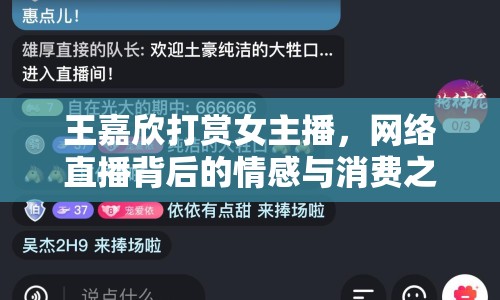 王嘉欣打賞女主播，網(wǎng)絡(luò)直播背后的情感與消費之謎