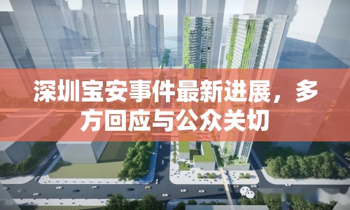 深圳寶安事件最新進(jìn)展，多方回應(yīng)與公眾關(guān)切