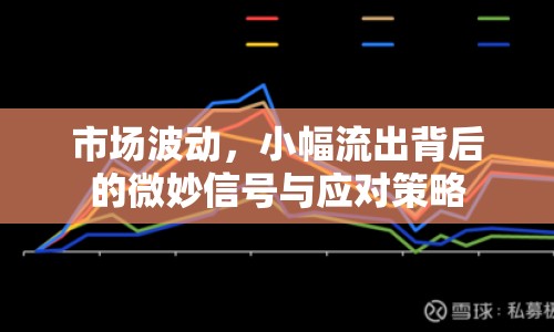 市場波動(dòng)，小幅流出背后的微妙信號(hào)與應(yīng)對策略
