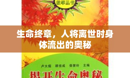 生命終章，人將離世時身體流出的奧秘
