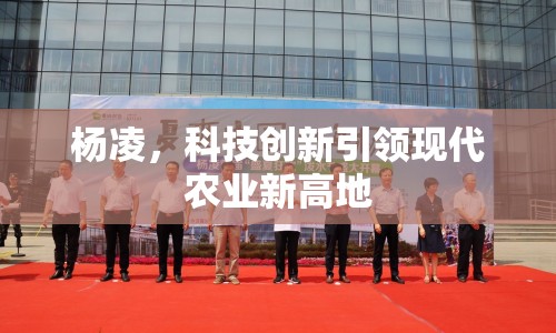 楊凌，科技創(chuàng)新引領(lǐng)現(xiàn)代農(nóng)業(yè)新高地