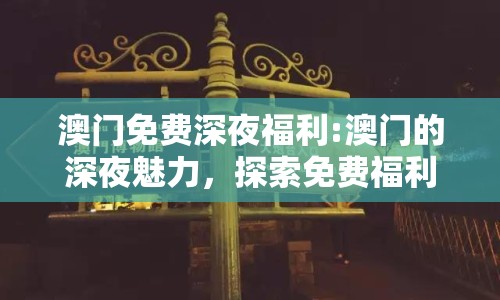澳門免費(fèi)深夜福利:澳門的深夜魅力，探索免費(fèi)福利的多樣體驗(yàn)