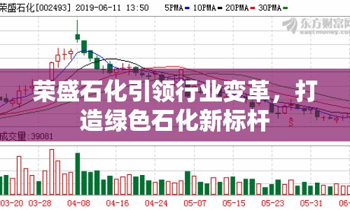 榮盛石化引領行業(yè)變革，打造綠色石化新標桿