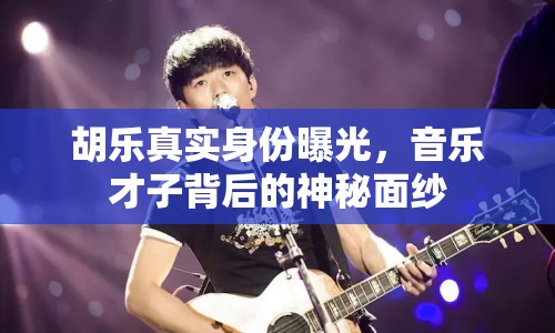 胡樂真實身份曝光，音樂才子背后的神秘面紗