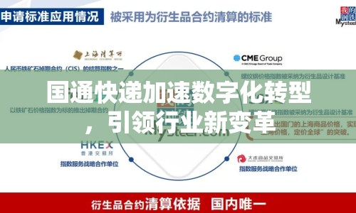 國通快遞加速數(shù)字化轉(zhuǎn)型，引領(lǐng)行業(yè)新變革