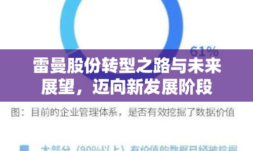 雷曼股份轉(zhuǎn)型之路與未來(lái)展望，邁向新發(fā)展階段