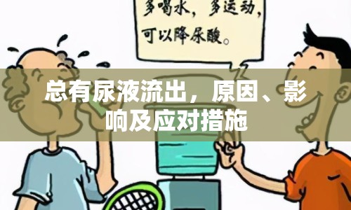 總有尿液流出，原因、影響及應(yīng)對措施