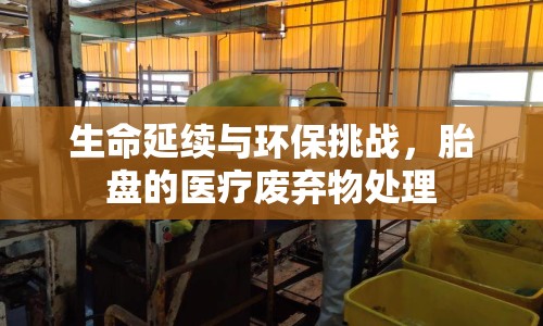 生命延續(xù)與環(huán)保挑戰(zhàn)，胎盤的醫(yī)療廢棄物處理