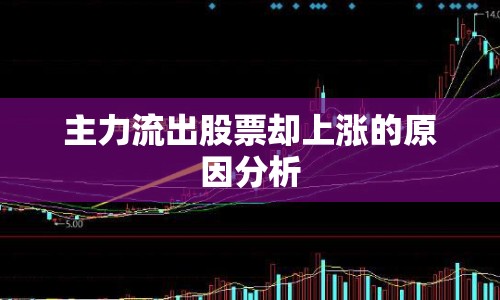 主力流出股票卻上漲的原因分析