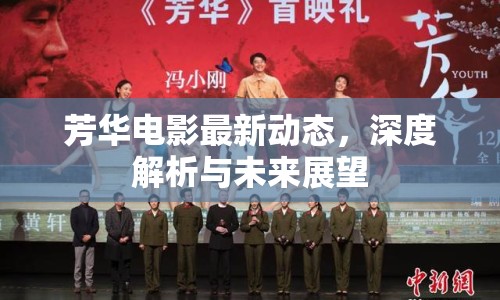 芳華電影最新動(dòng)態(tài)，深度解析與未來(lái)展望