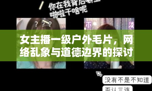 女主播一級戶外毛片，網(wǎng)絡(luò)亂象與道德邊界的探討