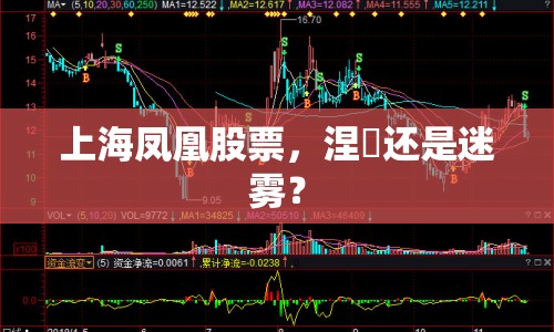 上海鳳凰股票，涅槃還是迷霧？
