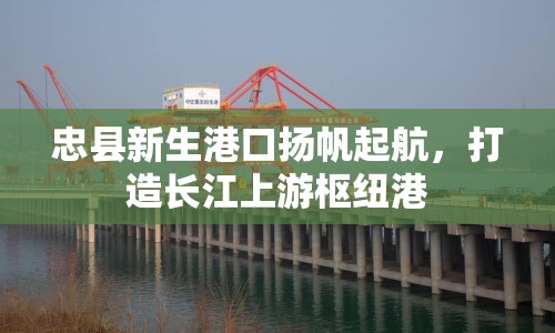 忠縣新生港口揚(yáng)帆起航，打造長(zhǎng)江上游樞紐港