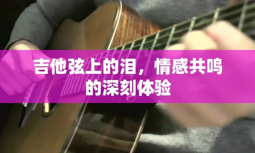 吉他弦上的淚，情感共鳴的深刻體驗(yàn)