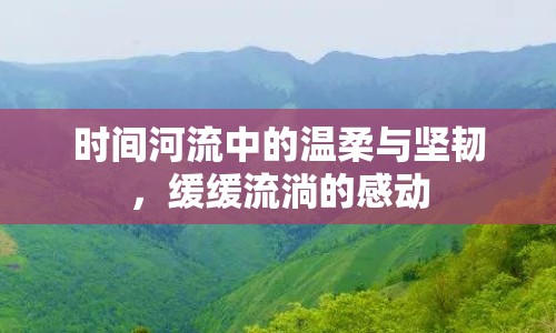 時(shí)間河流中的溫柔與堅(jiān)韌，緩緩流淌的感動(dòng)