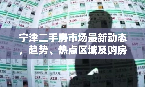 寧津二手房市場最新動(dòng)態(tài)，趨勢、熱點(diǎn)區(qū)域及購房指南