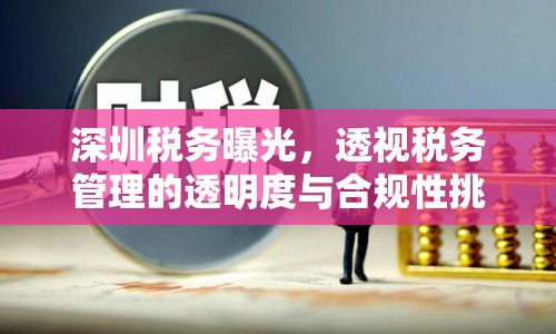 深圳稅務(wù)曝光，透視稅務(wù)管理的透明度與合規(guī)性挑戰(zhàn)