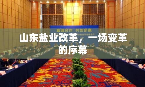 山東鹽業(yè)改革，一場變革的序幕