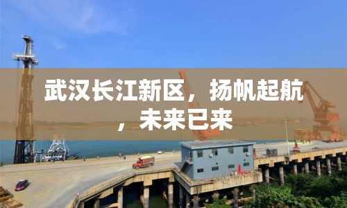 武漢長江新區(qū)，揚帆起航，未來已來