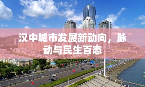 漢中城市發(fā)展新動(dòng)向，脈動(dòng)與民生百態(tài)