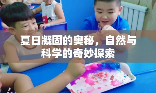 夏日凝固的奧秘，自然與科學(xué)的奇妙探索