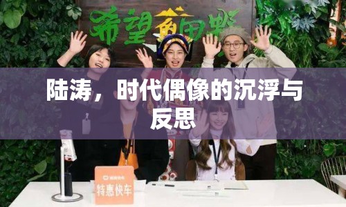 陸濤，時代偶像的沉浮與反思