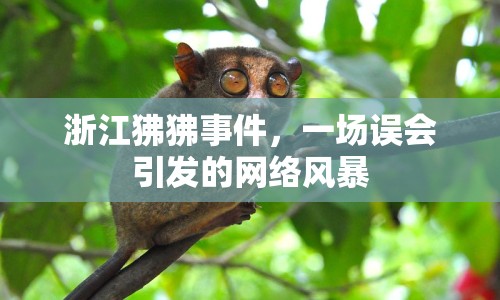 浙江狒狒事件，一場誤會引發(fā)的網絡風暴