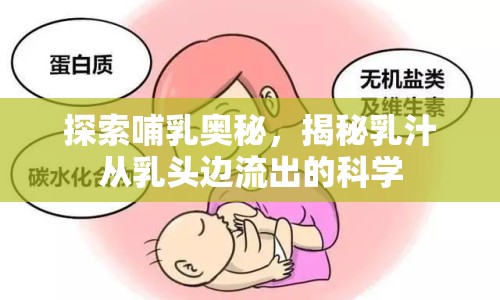 探索哺乳奧秘，揭秘乳汁從乳頭邊流出的科學(xué)