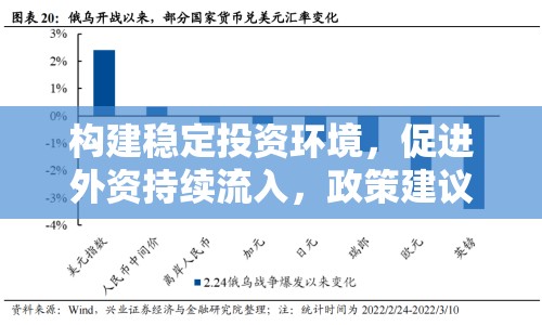 構(gòu)建穩(wěn)定投資環(huán)境，促進外資持續(xù)流入，政策建議與外資流出應(yīng)對