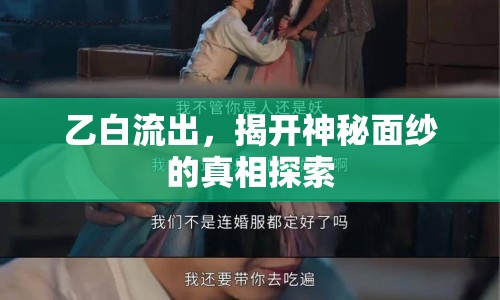 乙白流出，揭開神秘面紗的真相探索