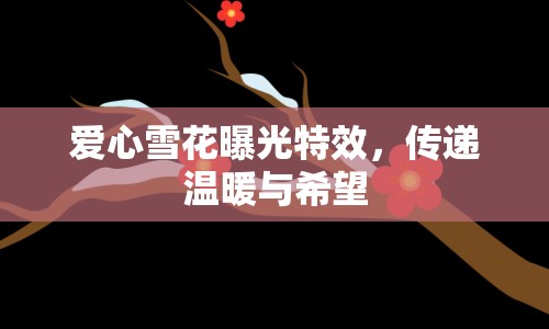 愛心雪花曝光特效，傳遞溫暖與希望