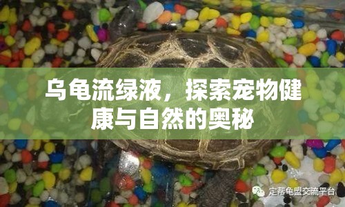 烏龜流綠液，探索寵物健康與自然的奧秘