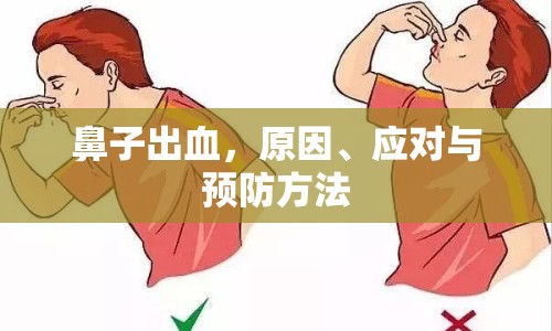 鼻子出血，原因、應對與預防方法