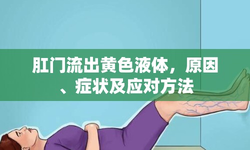 肛門流出黃色液體，原因、癥狀及應(yīng)對(duì)方法
