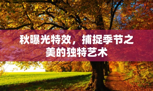 秋曝光特效，捕捉季節(jié)之美的獨(dú)特藝術(shù)