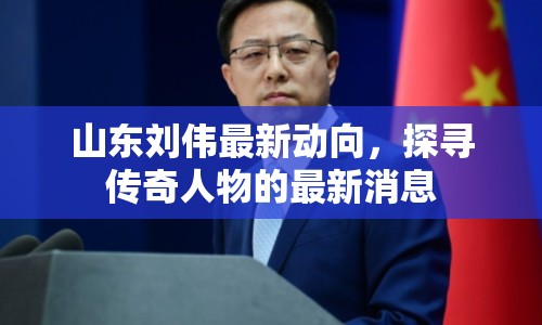 山東劉偉最新動(dòng)向，探尋傳奇人物的最新消息