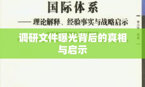 調(diào)研文件曝光背后的真相與啟示