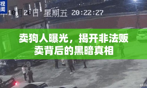 賣狗人曝光，揭開非法販賣背后的黑暗真相