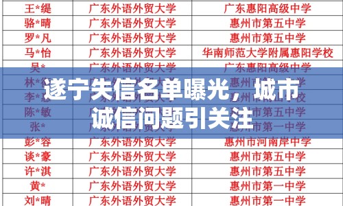 遂寧失信名單曝光，城市誠信問題引關(guān)注