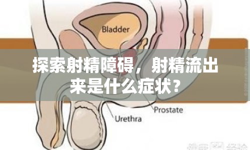 探索射精障礙，射精流出來是什么癥狀？
