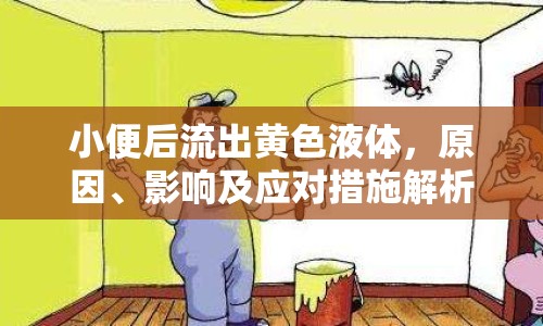 小便后流出黃色液體，原因、影響及應(yīng)對措施解析