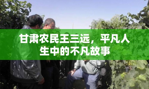 甘肅農(nóng)民王三遠(yuǎn)，平凡人生中的不凡故事