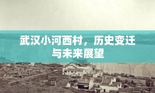 武漢小河西村，歷史變遷與未來展望